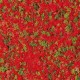 76935 Auhagen Poppies